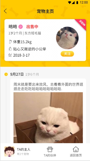 喵汪社區(qū)(圖9)